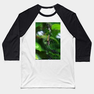 Orb Weaver Baseball T-Shirt